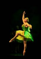 Adrien BORGNA - ADRIEN BORGNA