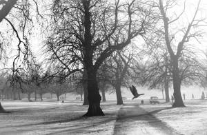 Rodolphe SERRES - RODOLPHE SERRES