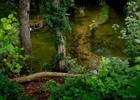 Pierre RICH - Rich Photographe